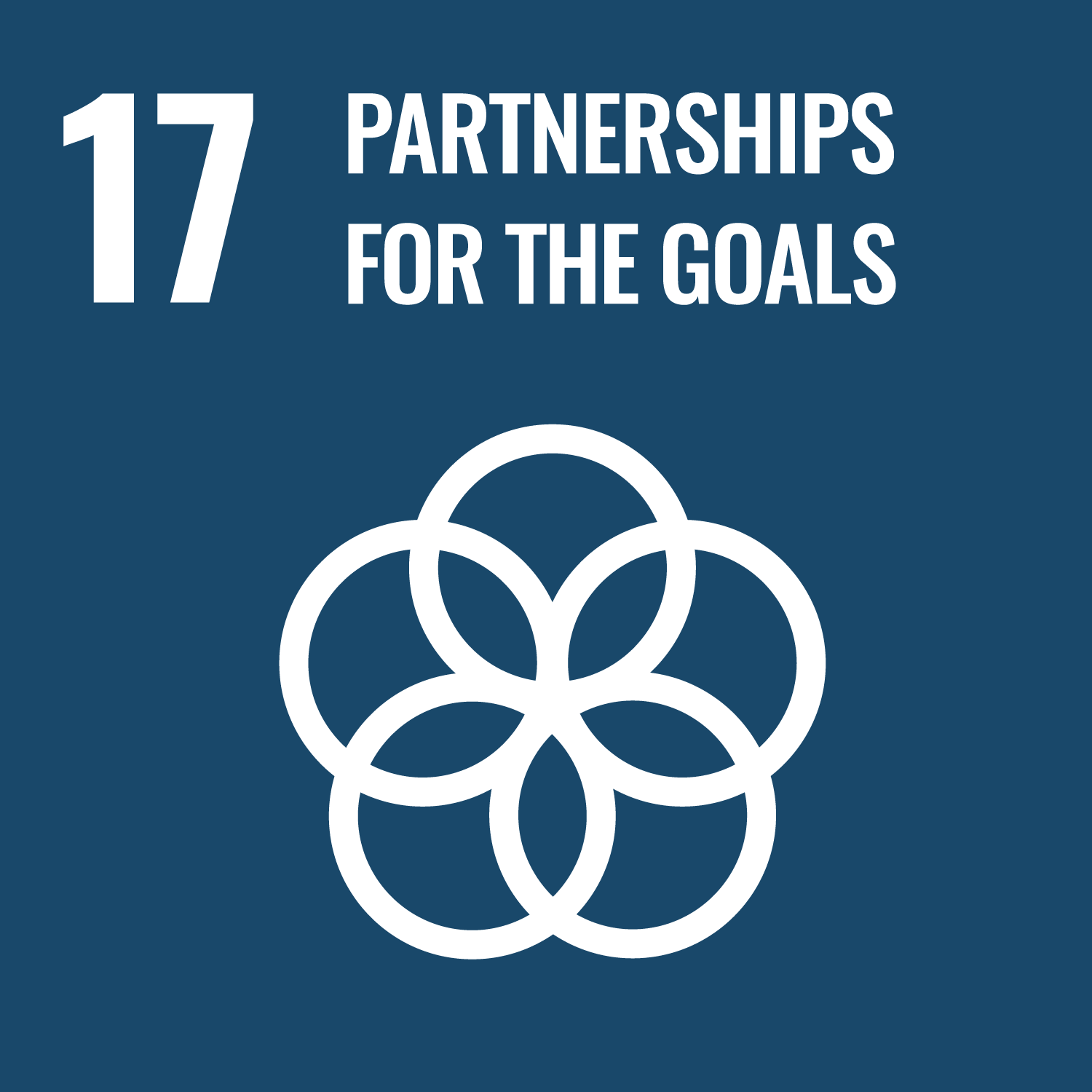 SDG17  Partnership for the Goals 夥伴關係圖片